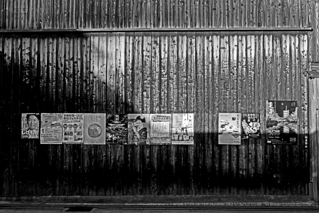 朝日の当たるか板塀　P1058735zz