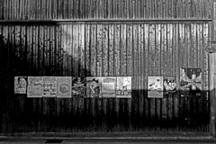 朝日の当たるか板塀　P1058735zz