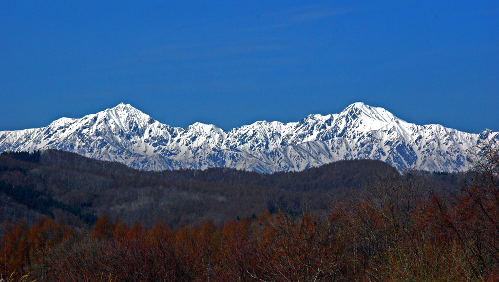 春の思い出〈早春の後立山連峰〉　IMGP1229zz