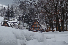 追憶 厳冬の旅Ⅱ　DSC01795zz