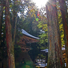 朝の陽　IMGP4993zz