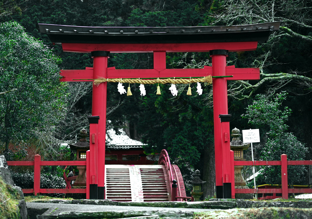 神様のみち　IMGP1556zz