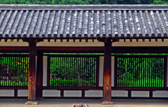 回廊　DSC00841zz