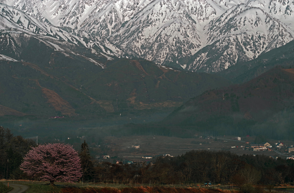 残雪　IMGP3171z