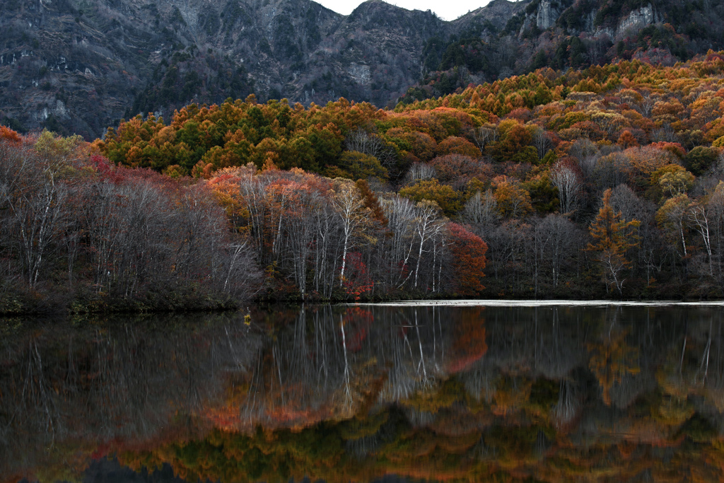 静かな秋の日　IMGP9644z