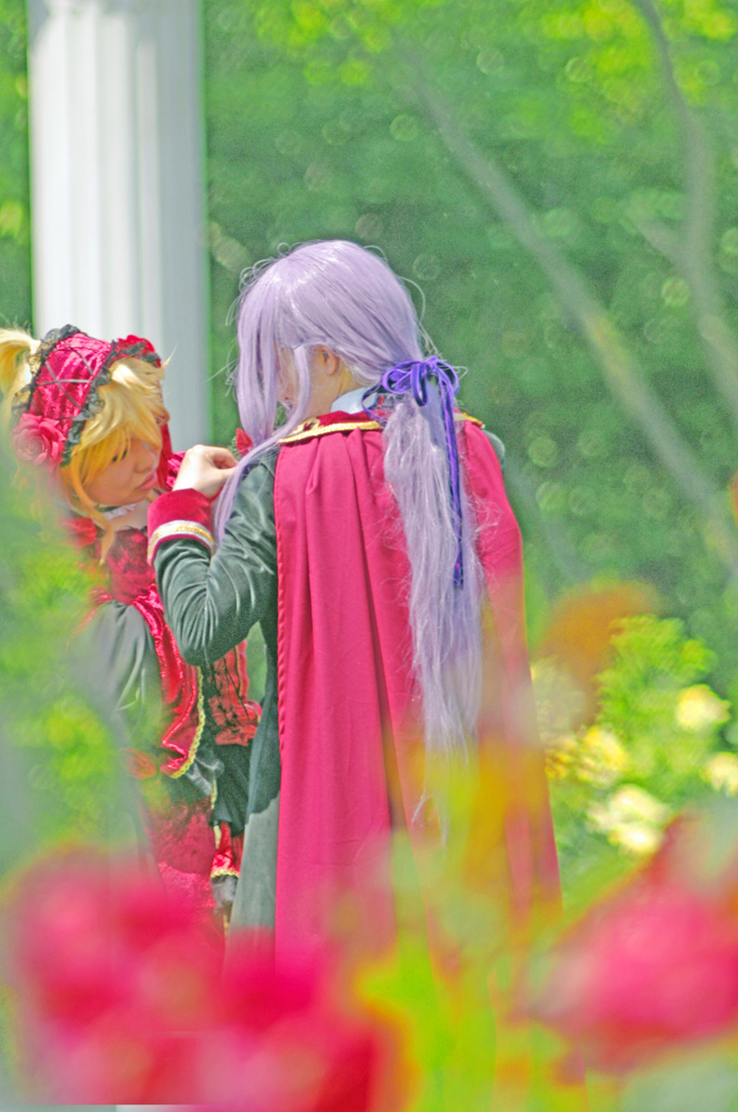 メルヘンチックな風景　IMGP7737aa