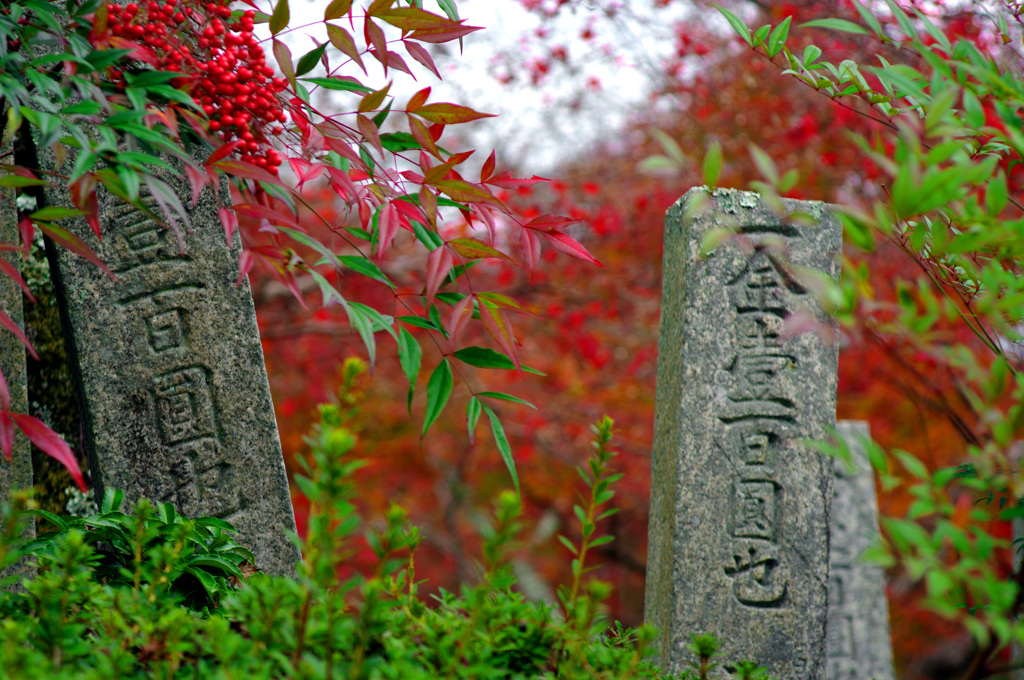 観心寺スケッチ　IMGP4046zz