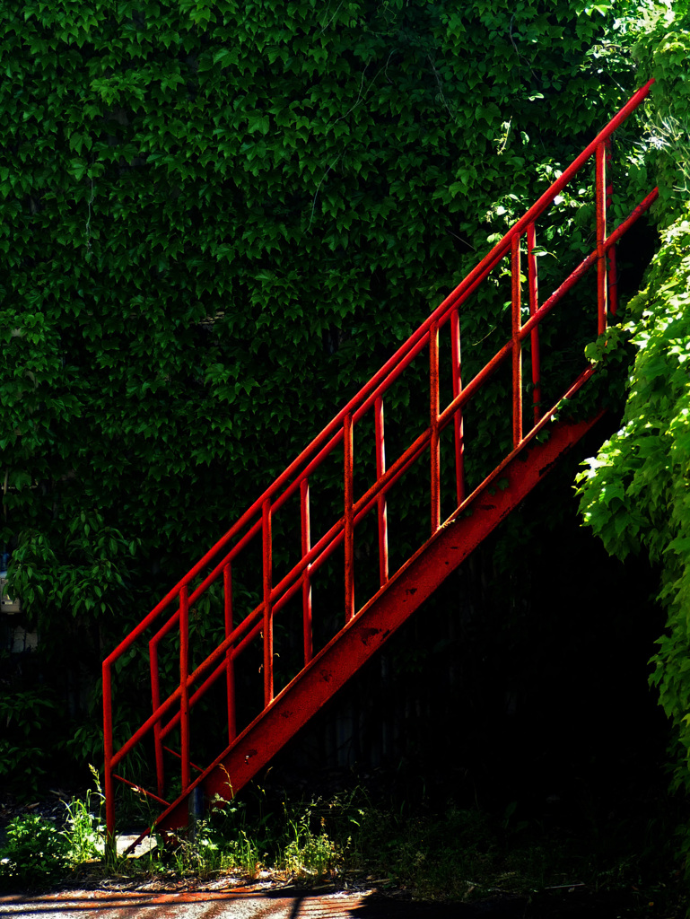 赤い階段　P1220039z