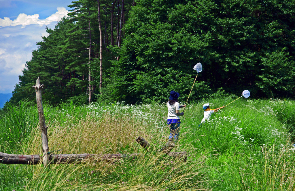 いつか見た夏の思い出　IMGP1358zz