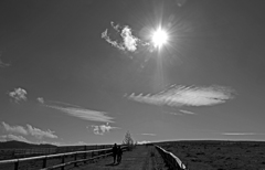 秋日和　P1046882zz