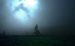 ここは霧の中　IGP7544zz