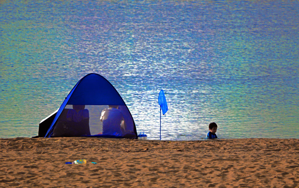 虫取り網と子供　P1012082zz