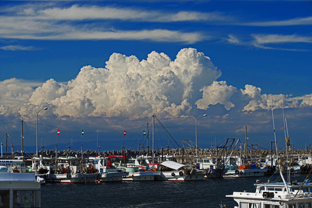 穏やかな台風接近の昼下がり　IMGP1564zz