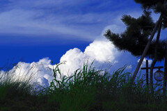 雲と夏草　IMGP1610zz