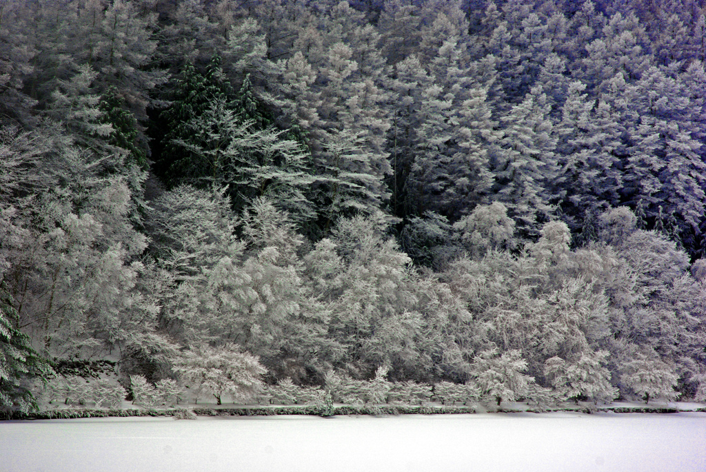 蓼の湖 冬の景　IMGP0302zz