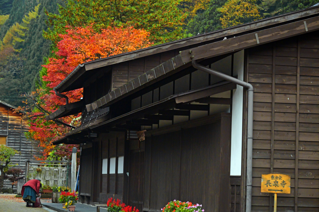 朝のお掃除　P1057562zz