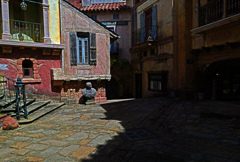 日向と日陰　P1044222zz