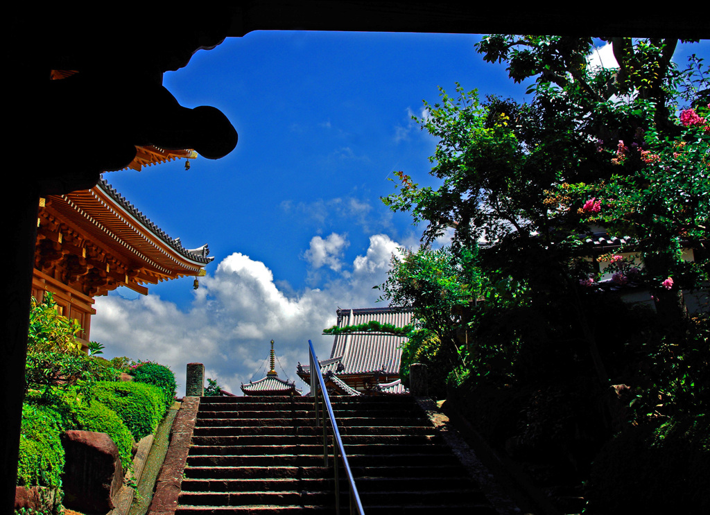 山門をくぐると夏の空　IMGP8040zz