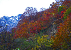 白馬の秋　P1760856zz