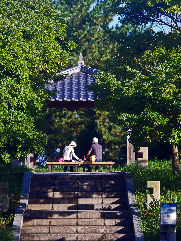 贅沢な朝　P1690048zz