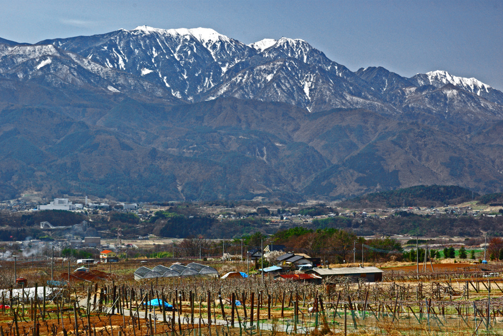 春待つ里山　IMGP2617zz