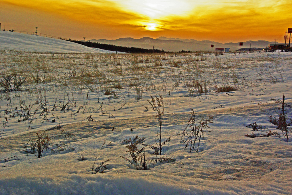 春待つ雪原 　IMGP2630zz