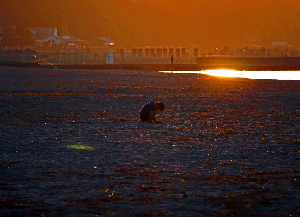 夕闇に包まれる頃　P1780593zz