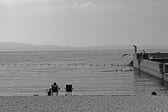 夏の序章　P1088155zz