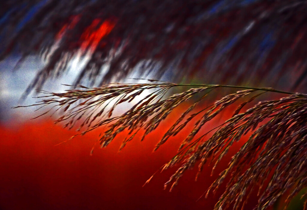 朝スケッチ　P1510024zz