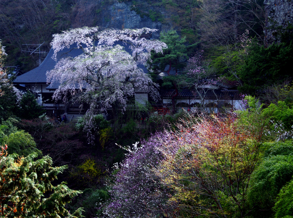 布引山点景　IMGP1358zz