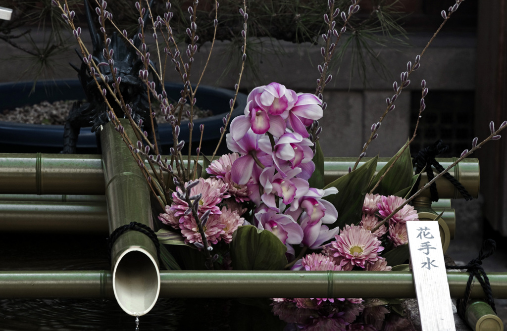 花手水　IMG1868zz