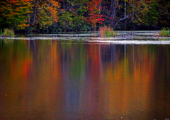 錦の水面(みなも) P1113948zz 錦の水面(みなも) P1113948zz