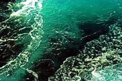 那智の海　IMGP9514zz