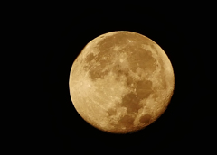 十六夜の月 P1690190zz 十六夜の月 P1690190zz