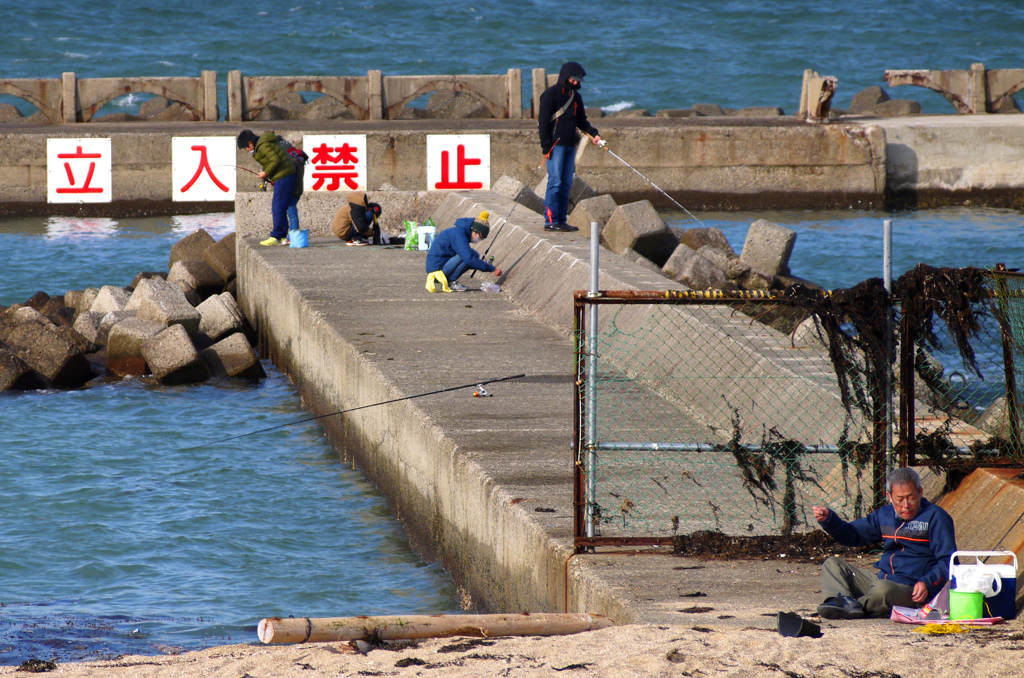 釣り日和　P1180411z