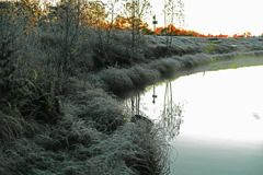 降霜の朝　IMGP0372zz