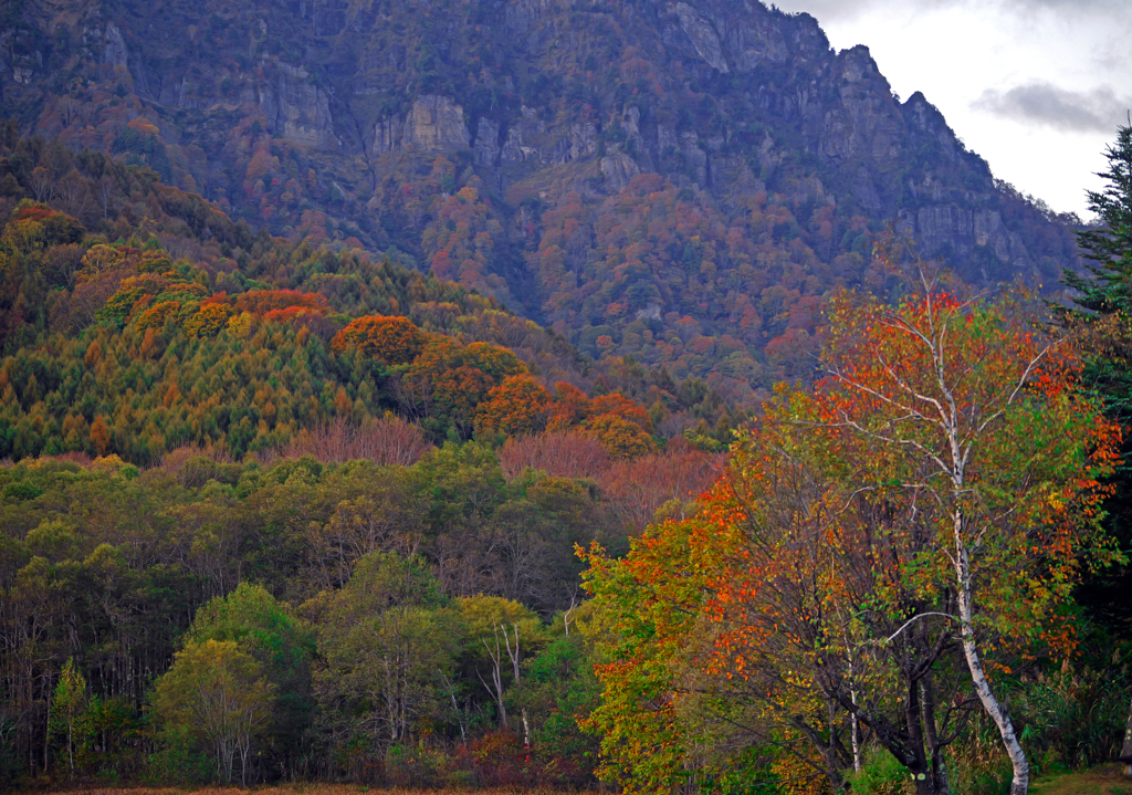 夕映えⅡ　P1113942zz