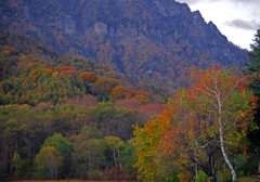 夕映えⅡ　P1113942zz