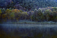 向寒の候　IMG8418zz