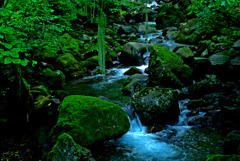 苔むす渓流　IMGP0974zz