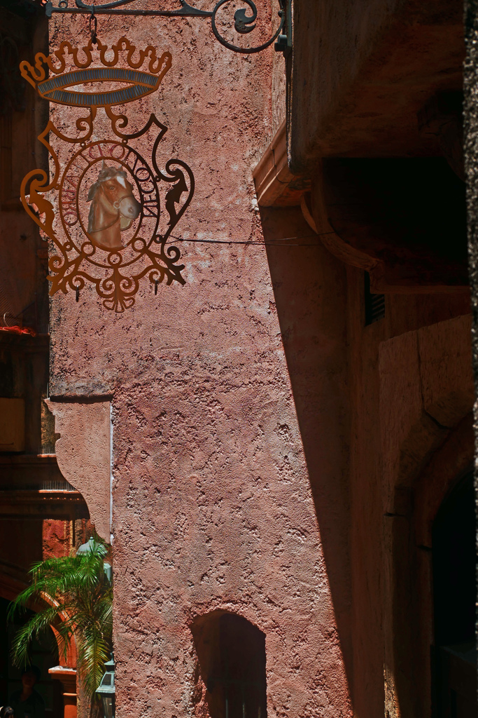 赤い壁　P1220062zz