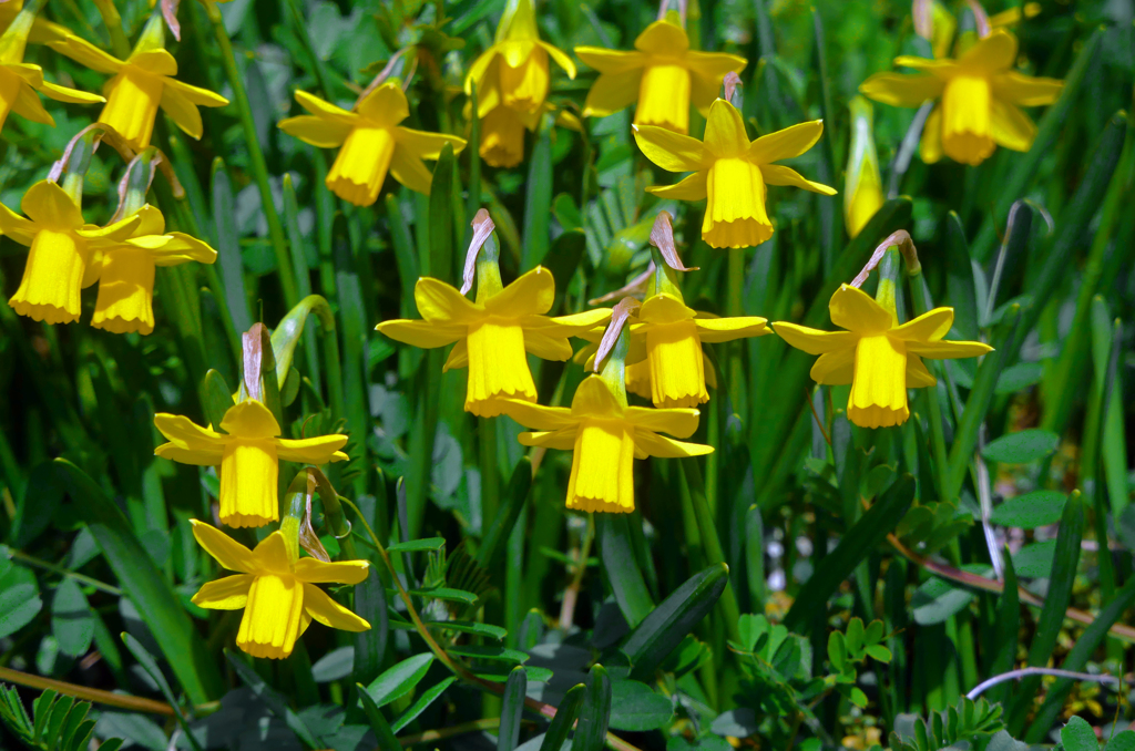 「一同、礼」　P1350367zz