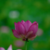 孤独　_IGP7146zz