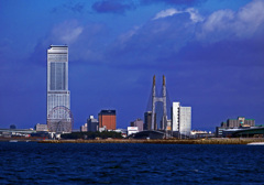 冬晴れの りんくうエリア　P1520146z