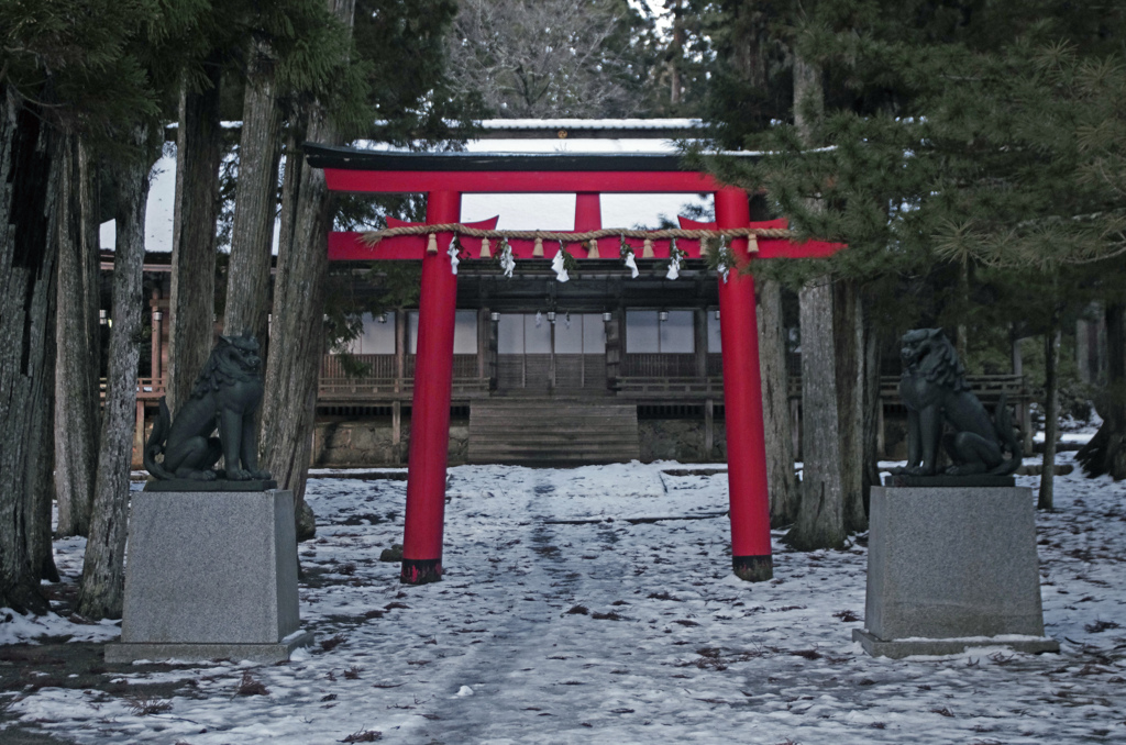 高野山 山王院御社　_IGP6819zz