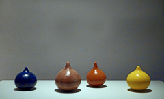 不思議な形：擬宝珠？　P1043849zz