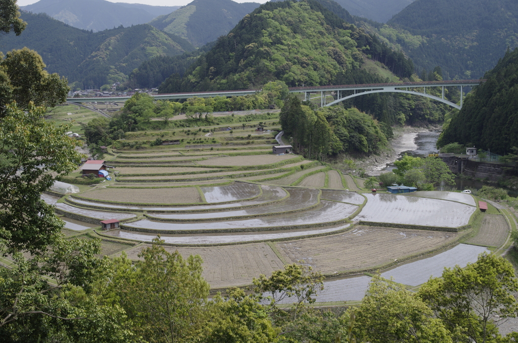 春を待つあらぎ島　_IGP6106