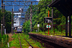 南海電鉄多奈川線　P1200058zz