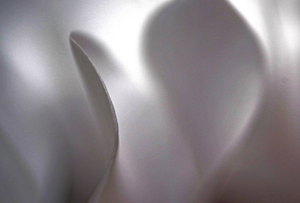 白いシクラメン　IMGP0332zz