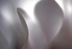 白いシクラメン　IMGP0332zz